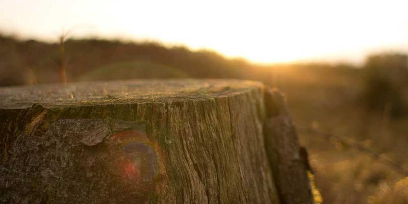 《暮云孤旅 第1季》